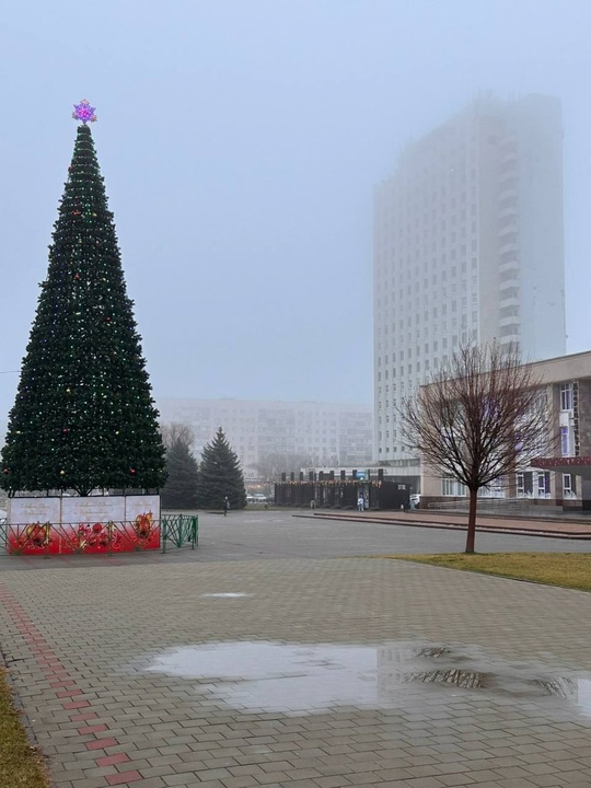 🌲Утренний парк в Волжском. в Волжском, 25.12.2024 в 14:45