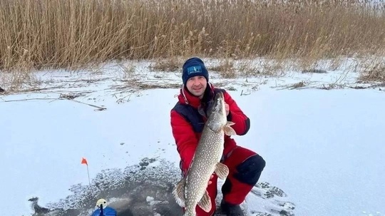 🐟Волгоградские рыбаки Артем Щербаков и его друг поймали в Быковском районе шестикилограммовую щуку.   в Волжском, 28.01.2025 в 17:45