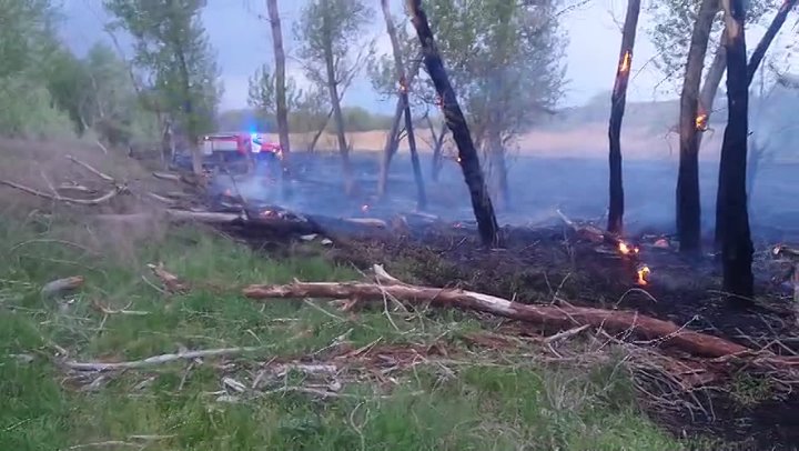 Видео последствий пожара в низине за парком... в Волжском, 28.04.2025 в 11:30
