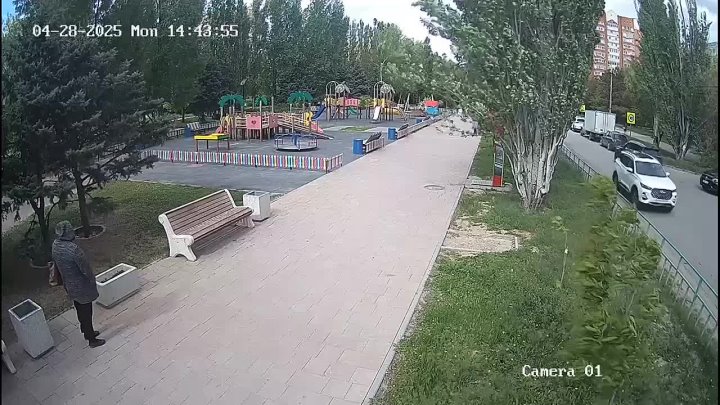 Женщина похитила свежепосаженные цветы из сквера на улице Александрова! в Волжском, 28.04.2025 в 21:30
