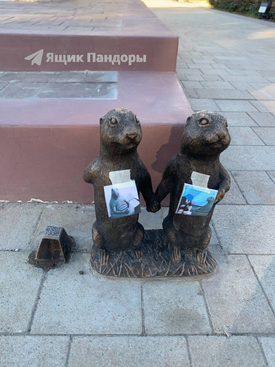 Над сусликами снова надругались. в Волжском, 04.05.2025 в 12:30