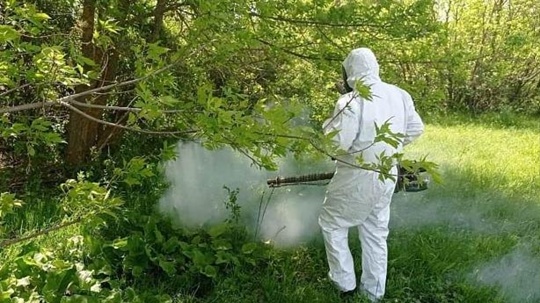 В Волгоградской области сохраняется риск заражения лихорадкой Западного Нила в Волжском, 16.05.2025 в 15:30
