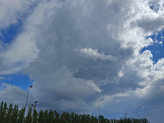 Красота Волжского 😎 в Волжском, 20.05.2025 в 11:00