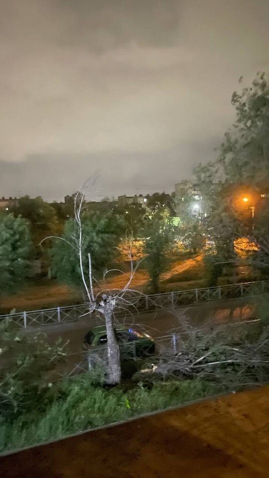 16 мкр, дерево упало, фонарь не горит в Волжском, 21.05.2025 в 01:30