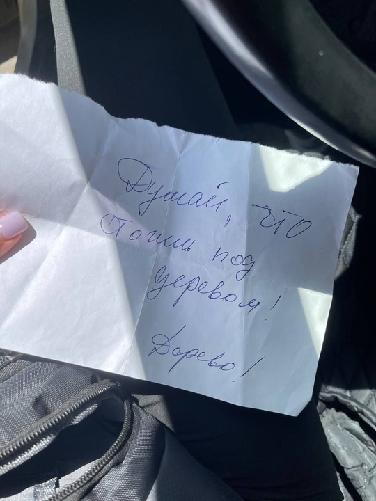 😡Новый поворот в истории об убийстве лошадей в конном клубе Волжского. в Волжском, 23.05.2025 в 17:00