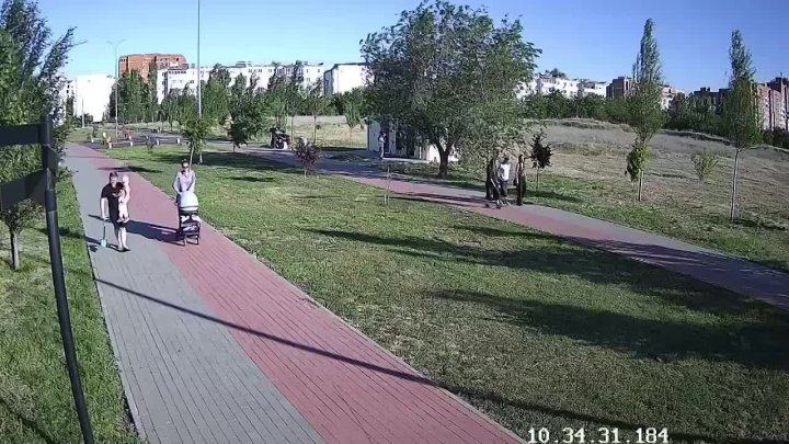 В парке «Солнечный» в Волжском трое подростков содрали кору с молодого тополя Болле. в Волжском, 02.06.2025 в 18:00