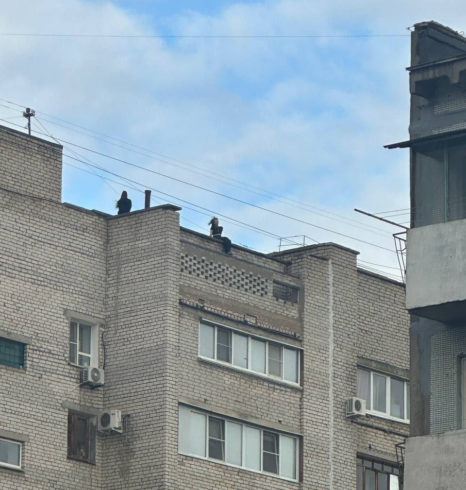 Волжский, Ул. Мира 54, подростки на крыше дома. в Волжском, 07.06.2025 в 19:00