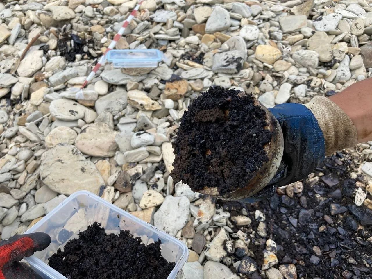 Ученые из Волжского нашли способ очистить море от мазута! Магнит поможет! в Волжском, 24.06.2025 в 18:30