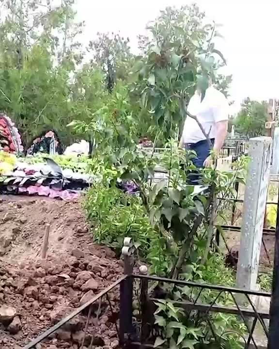 Близкие умершего жителя города-спутника Волгограда — Волжского обвинили чиновника городской администрации в том, что он ... в Волжском, 25.06.2025 в 23:00