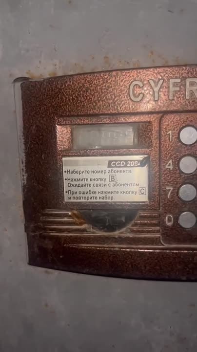 В Волжском нашествие тараканов. На Набережной, 77 насекомые ползают по подъезду и входной двери. в Волжском, 22.07.2025 в 20:00