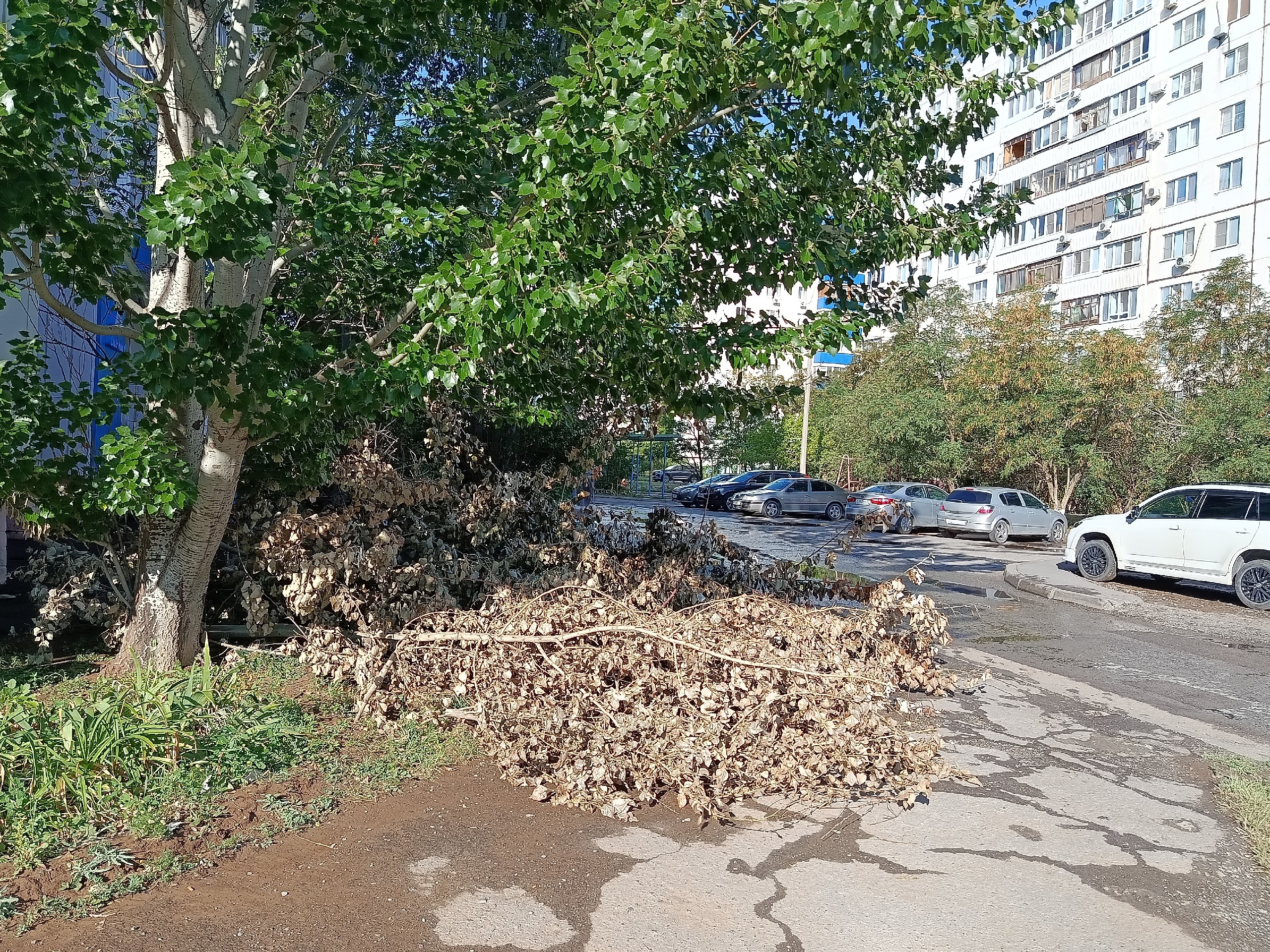 В 38мкр по улице Мира150 г ,возле стоматологии СИЯНИЕ. в Волжском, 24.07.2025 в 16:30