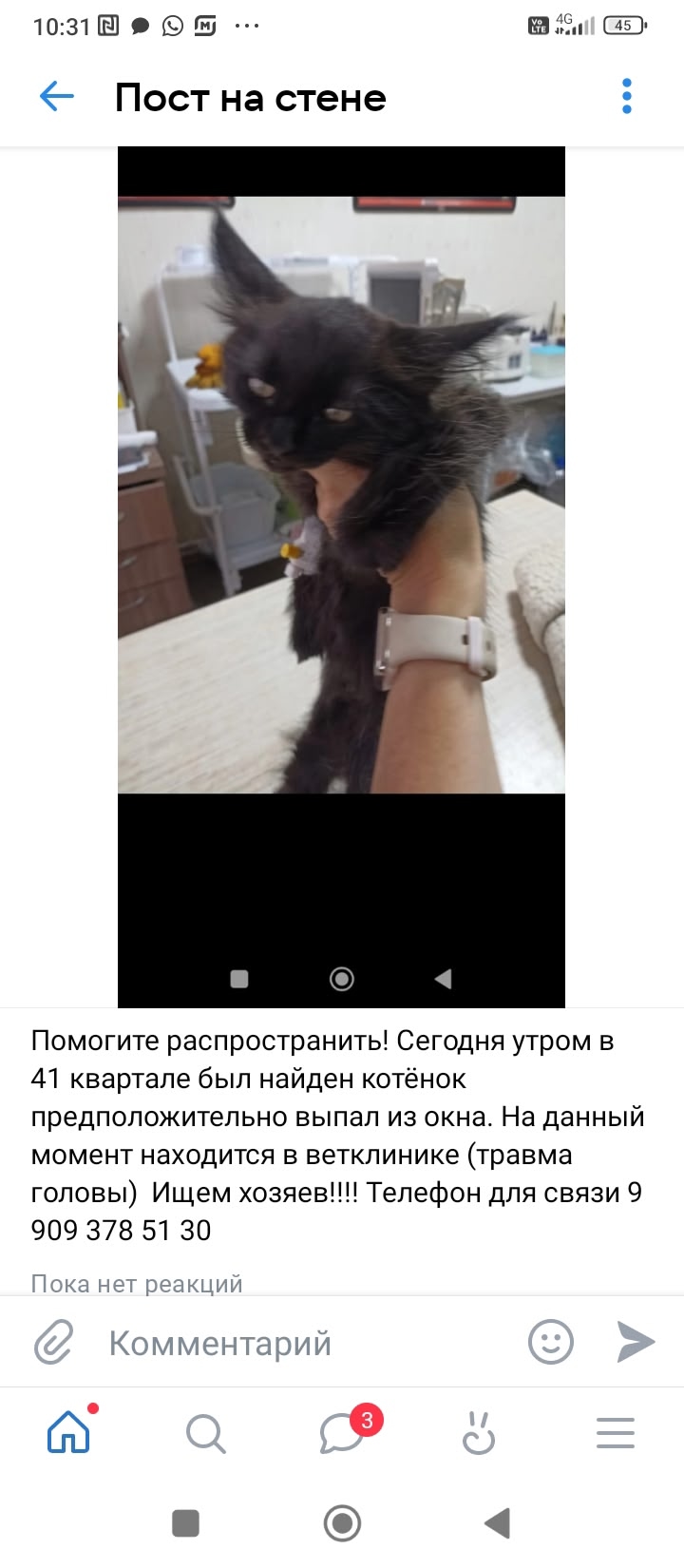 Помогите распространить!!! Сегодня утром в 41 квартале был найден котёнок, предположительно выпал из окна! На данный мом... в Волжском, 26.07.2025 в 15:30