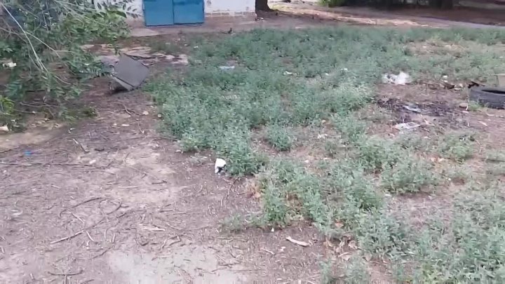 Б-р Профсоюзов 28. Вечная свалка лет так уже 5- 10. в Волжском, 28.07.2025 в 13:00