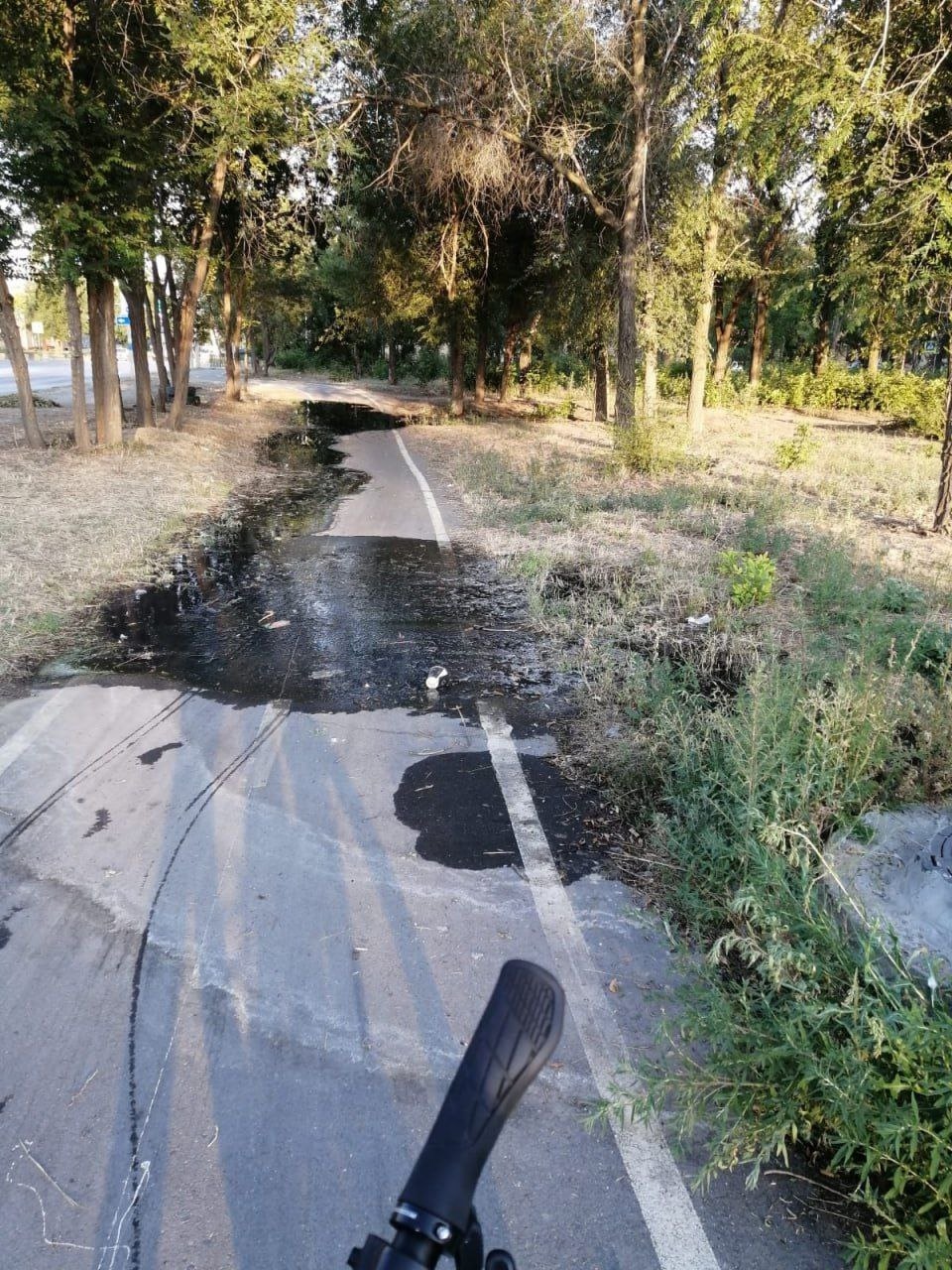 Канализация затопила велодорожку в Волжском! Кто ответит? в Волжском, 29.07.2025 в 17:30