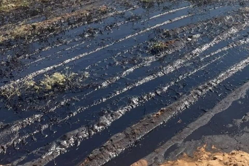 ❗️ В Волжском оценили вред почвам от нефтяного пятна размером 220 квадратных метров в Волжском, 14.08.2025 в 17:00