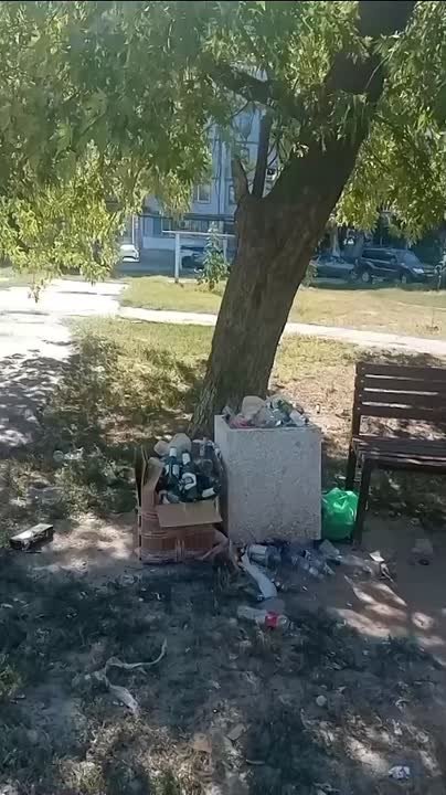 Три недели не убирается мусор на Дружбы 47, возле детской площадки в Волжском, 20.08.2025 в 12:30