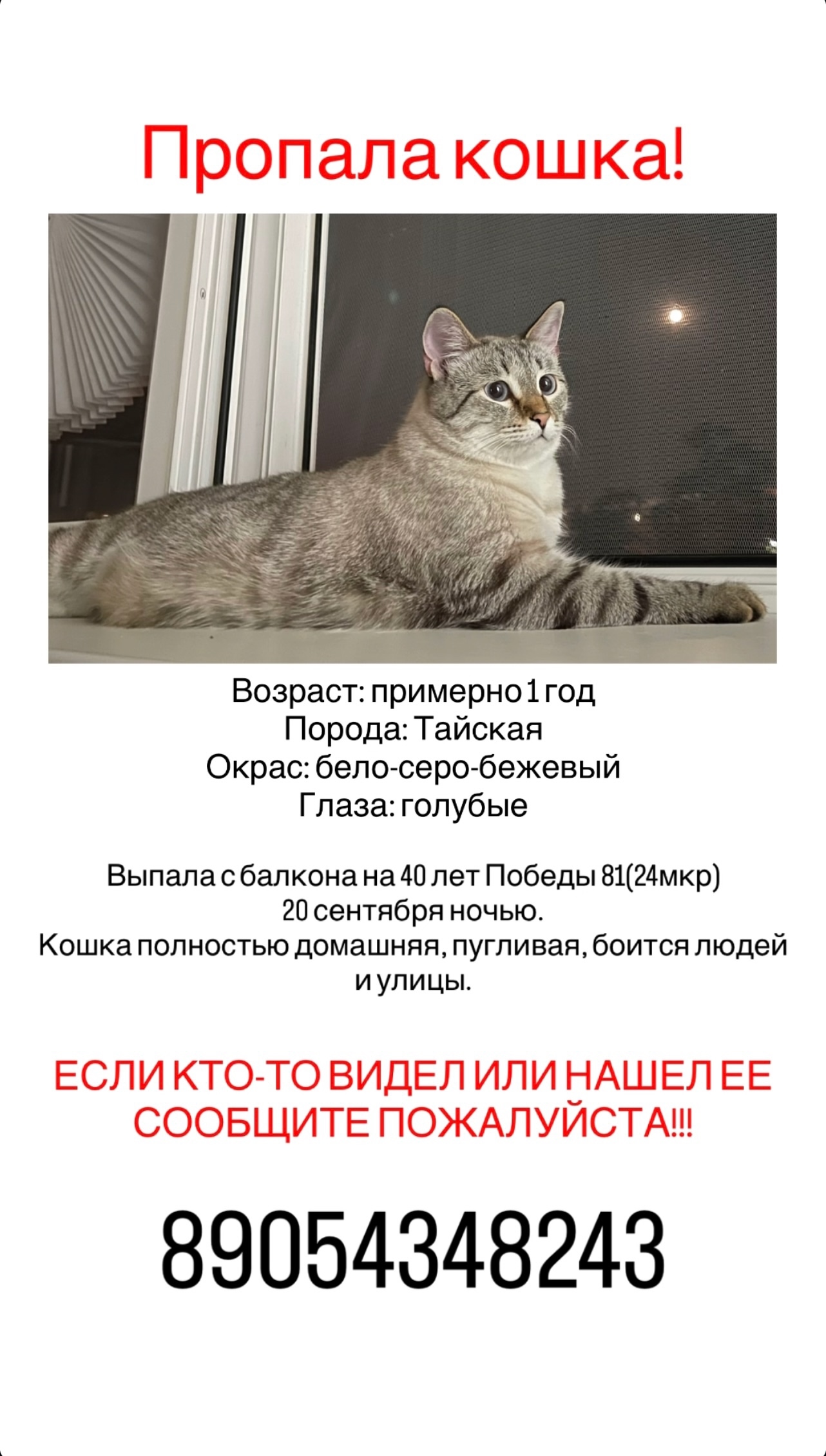 Разместите пожалуйста!🙏  в Волжском, 04.10.2025 в 09:00