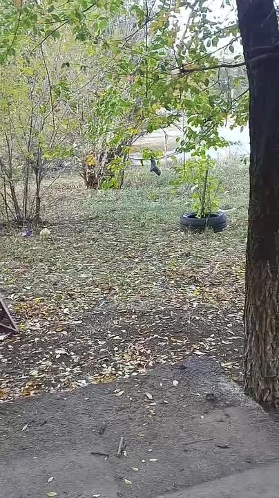 Бардак от