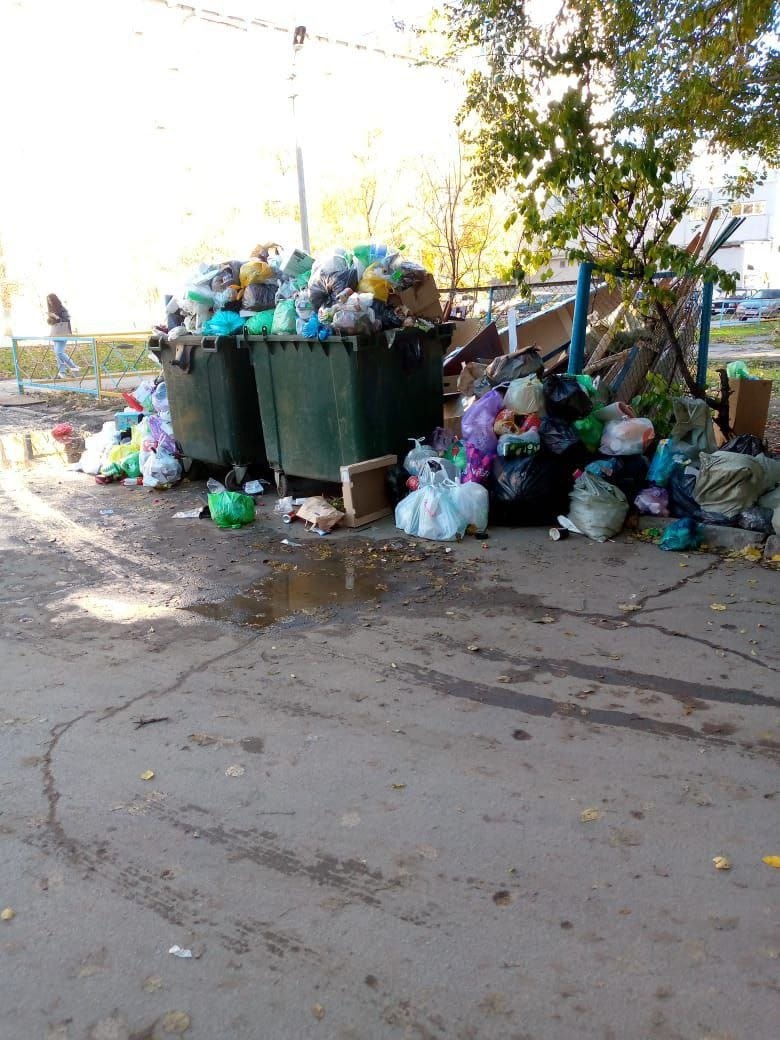 Думаю, что слова здесь лишние... в Волжском, 04.11.2025 в 15:30