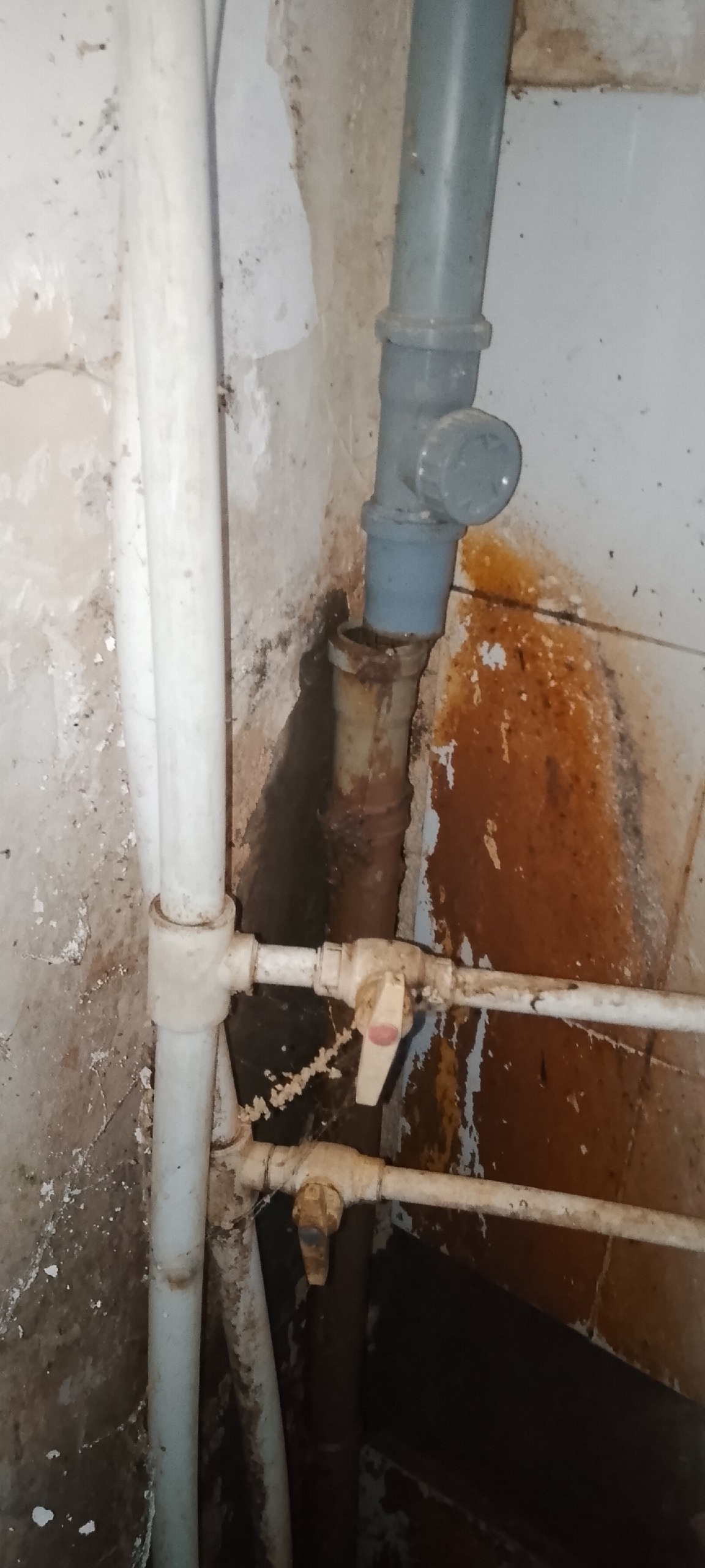 Молодежная 46  в Волжском, 08.11.2025 в 00:00