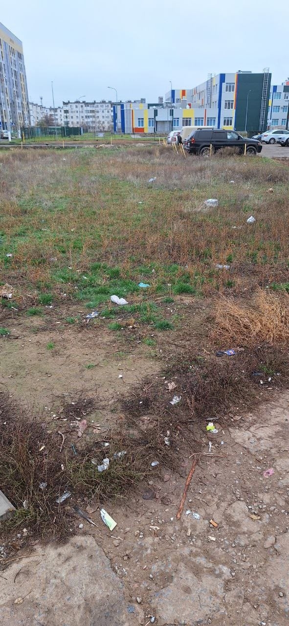 Кто должен убирать мусор и косить пустырь на подходе к школе5 в 37м-районе.Современная школа,а между детским садом и дом... в Волжском, 14.11.2025 в 17:00