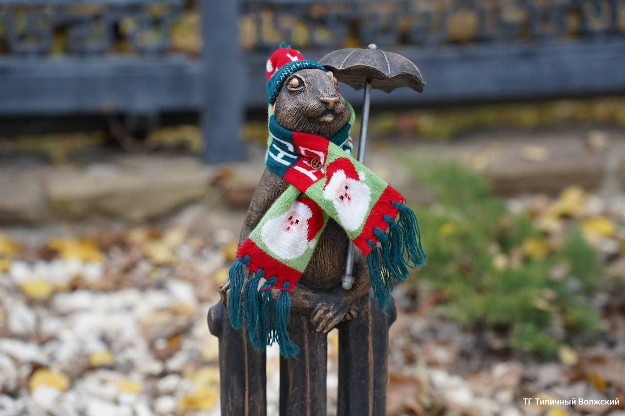 Суслика-коммунальщика утеплили к холодам в Волжском  в Волжском, 17.11.2025 в 14:30