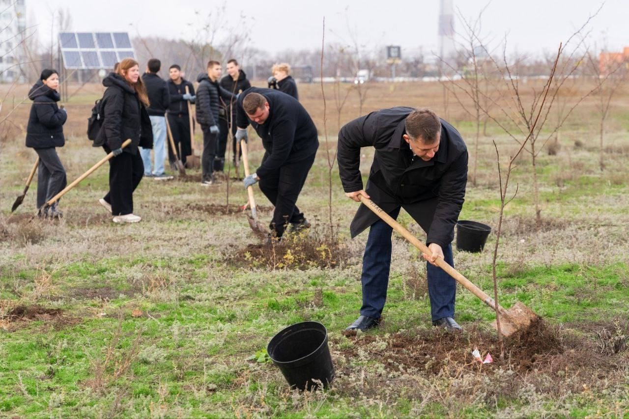 В Волжском высадили 50 саженцев черемухи  в Волжском, 20.11.2025 в 19:30