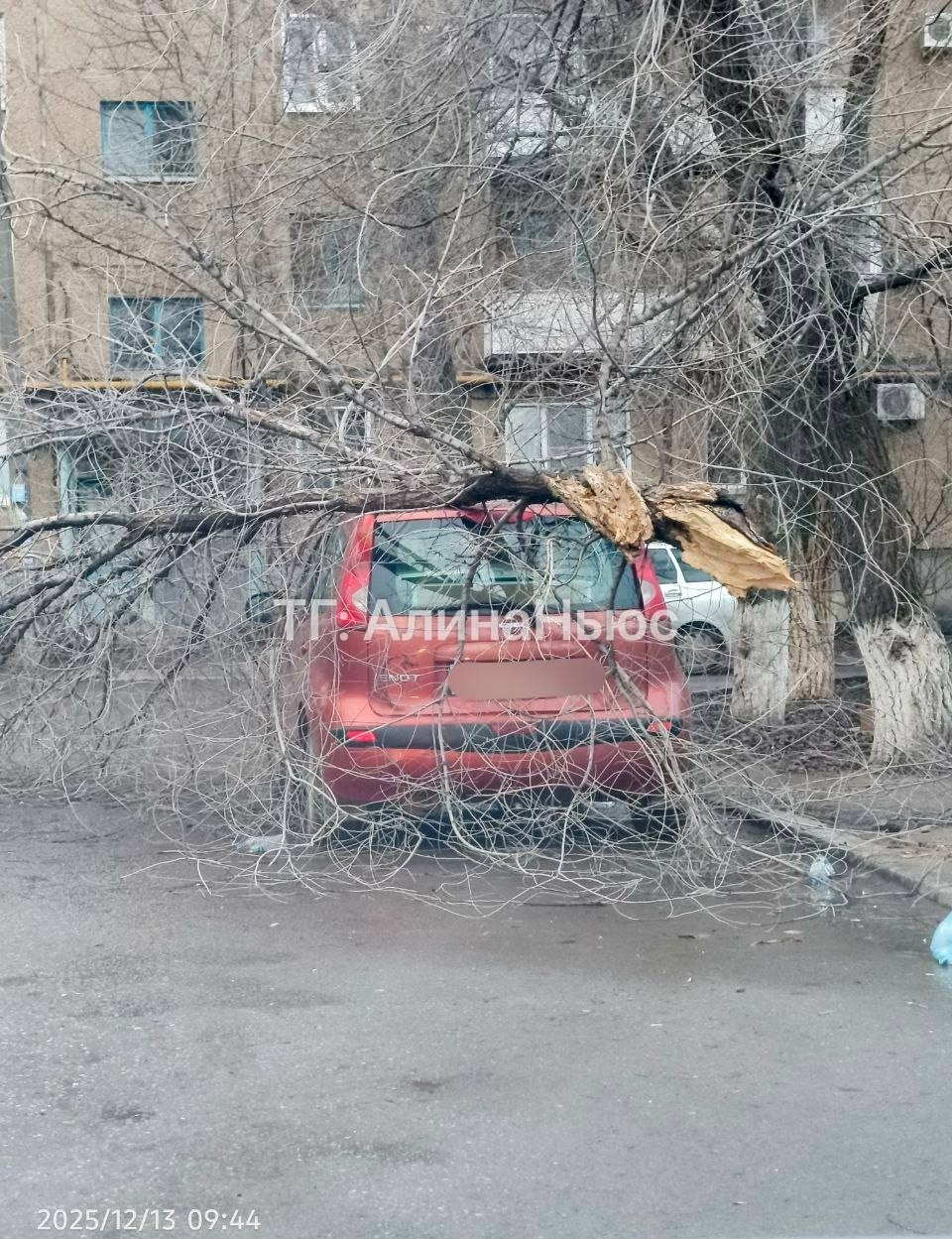 💨Упало дерево на автомобиль в Волжском. в Волжском, 13.12.2025 в 11:30