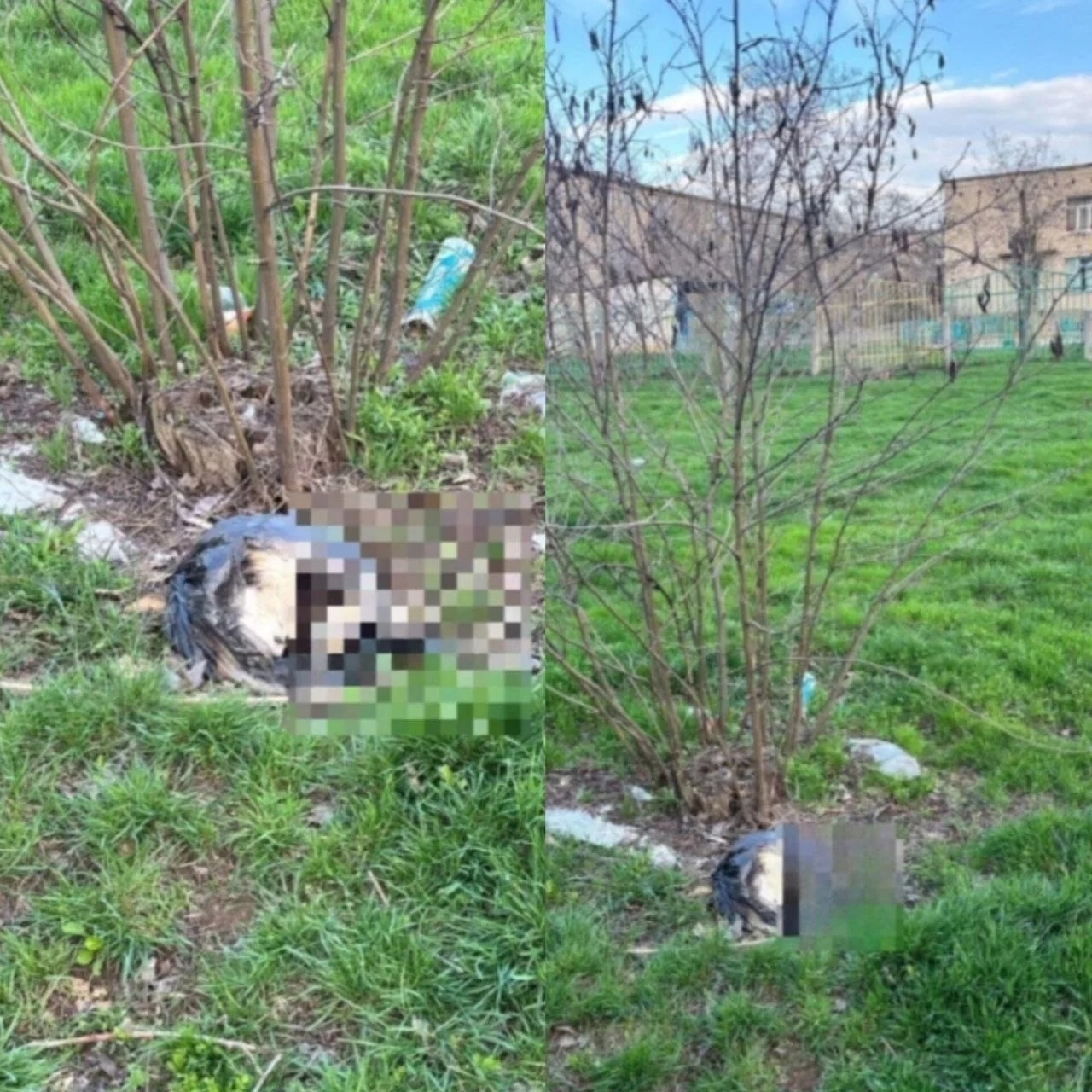 Шокирующая находка. в Волжском, 05.04.2026 в 09:00