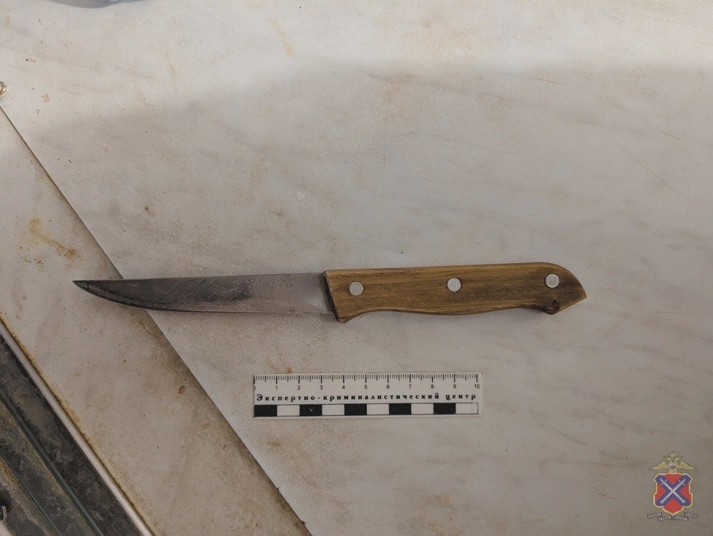 ⚡️В Волжском полицейские задержали женщину, вонзившую нож в своего мужа в Волжском, 07.04.2026 в 14:00