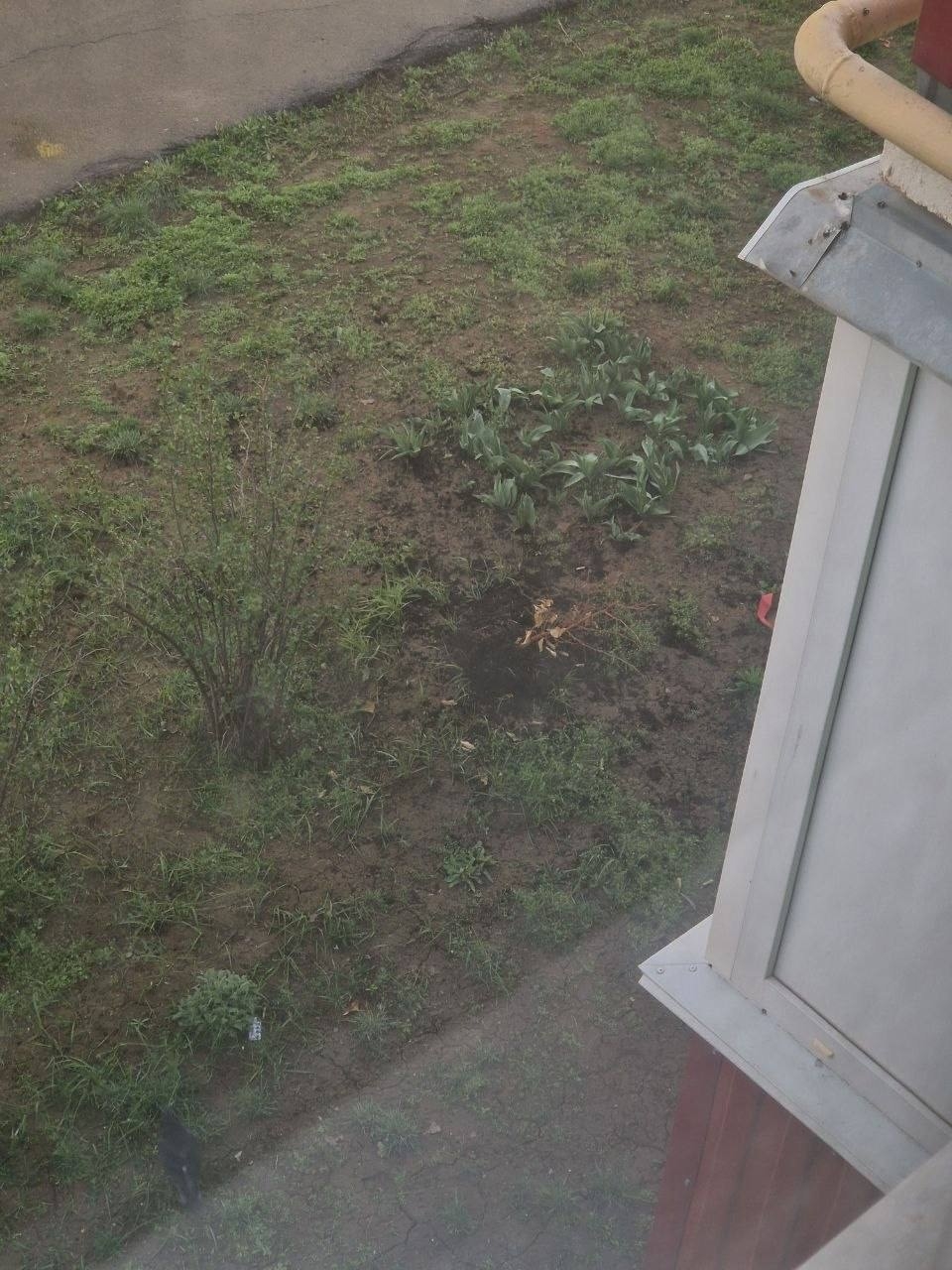 28 мкр, 120 дом, 5 подъезд — с окон летит курица, сардельки, засохшие растения в Волжском, 10.04.2026 в 19:00