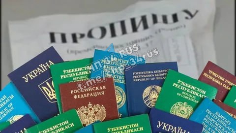 Жительницу Среднеахтубинского района задержали за фиктивную прописку 14 мигрантов из Туркменистана в Волжском, 27.01.2025 в 18:25